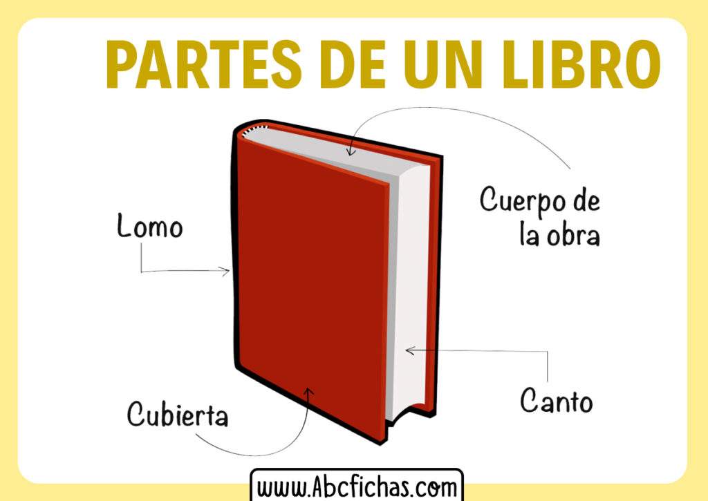 Estructura Y Partes De Un Libro