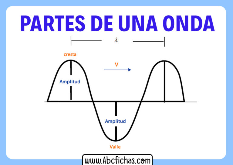 Partes De Una Onda ABC Fichas