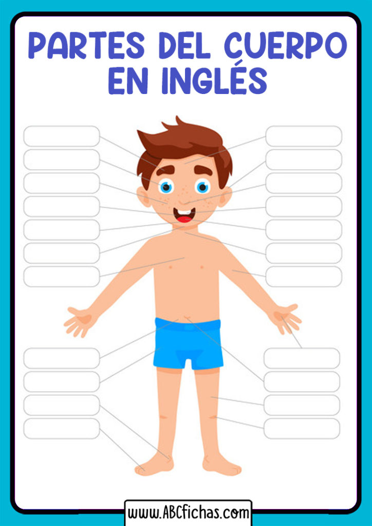 Vocabulario Partes Del Cuerpo Para Rellenar Abc Fichas Themeloader