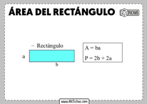 Calcular area del rectangulo