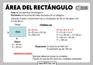 Como se calcula el area del rectangulo