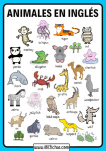 Animales en ingles para niños