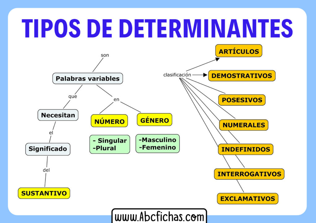 Clasificación De Los Determinantes | Tipos De Determinantes