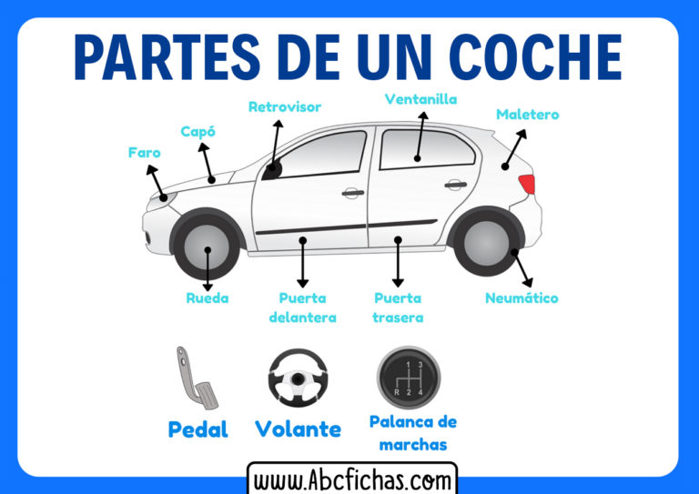 Estructura Y Partes De Un Coche, Automóvil O Carro