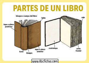 Cuales son las partes de un libro