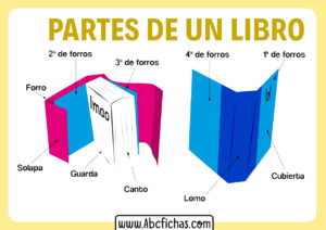 Dibujo de las partes de un libro