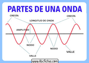 Estructura de una onda