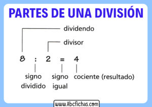 Estructura y partes de una división