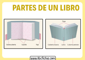 Las partes de un libro