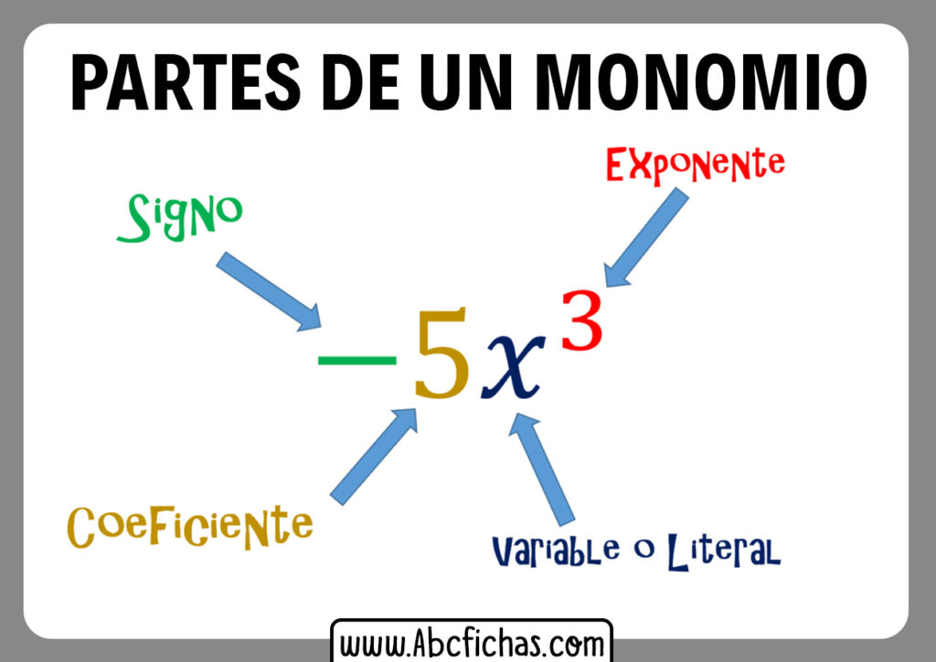 Las Partes De Un Monomio - Image to u