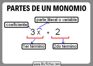 Partes de un monomio matematico