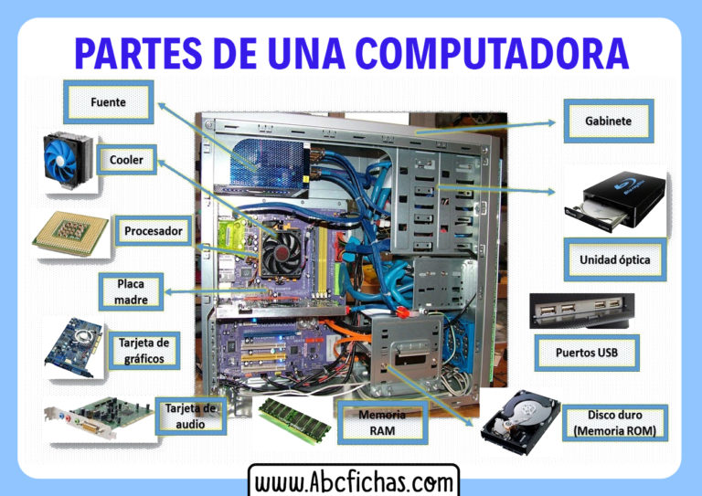 Las Partes De Una Computadora Estructura De Una Compu