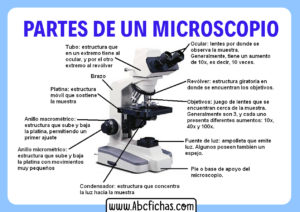 Partes de un microscopio y funcionamiento