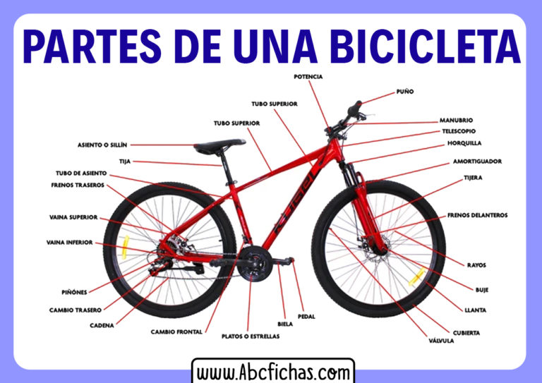 Estructura y Partes de una Bicicleta