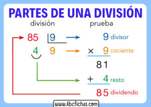 Partes de una division