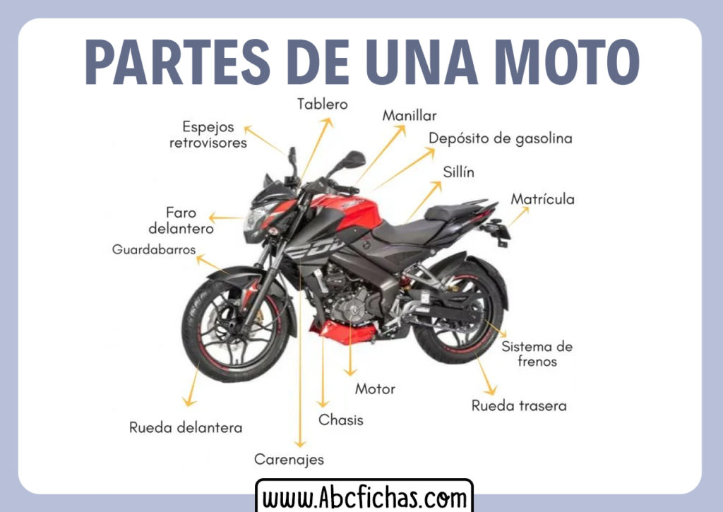 Estructura y Partes de un Motocicleta