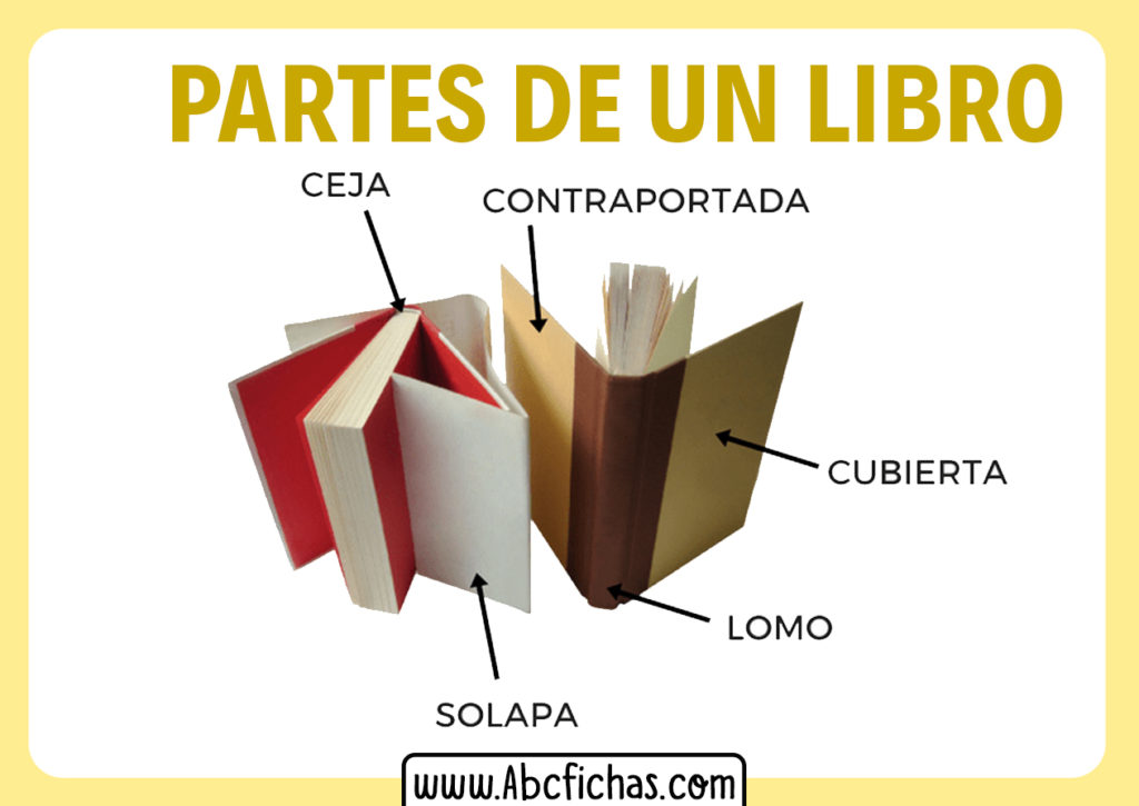 Las Partes De Un Libro Aprende Todo Sobre Los Libros Y Sus Partes My Porn Sex Picture 4286