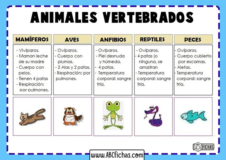 Tipos de animales vertebrados - ABC Fichas