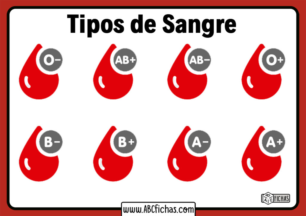 Tipos De Sangre - ABC Fichas