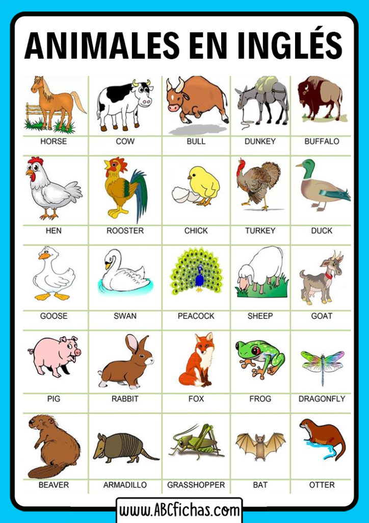 Vocabulario de Los Animales en Inglés para Niños