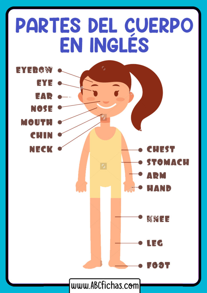 Dibujo De Las Partes Del Cuerpo Humano En Ingles Vrogue Co