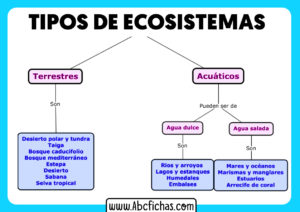 Clasificacion tipos de ecosistemas