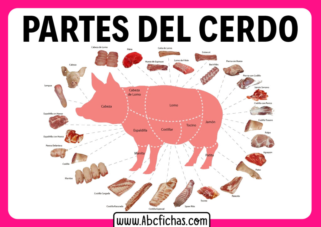 Las Partes Del Cerdo Partes Comestibles Del Cerdo 0824
