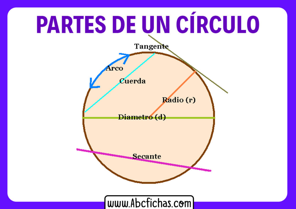 Estructura Y Partes Del Círculo Y De La Circunferencia 4312