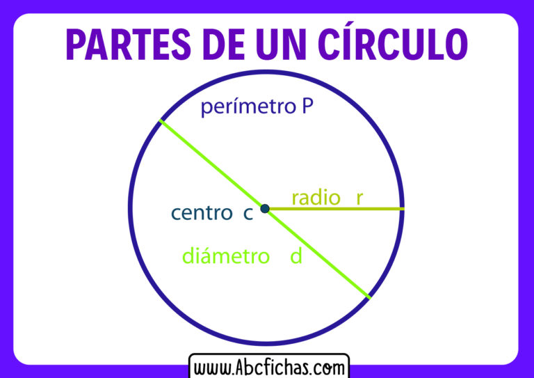 Elementos De Una Circunferencia Abc Fichas 3414