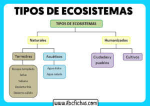 Esquema tipos de ecosistemas