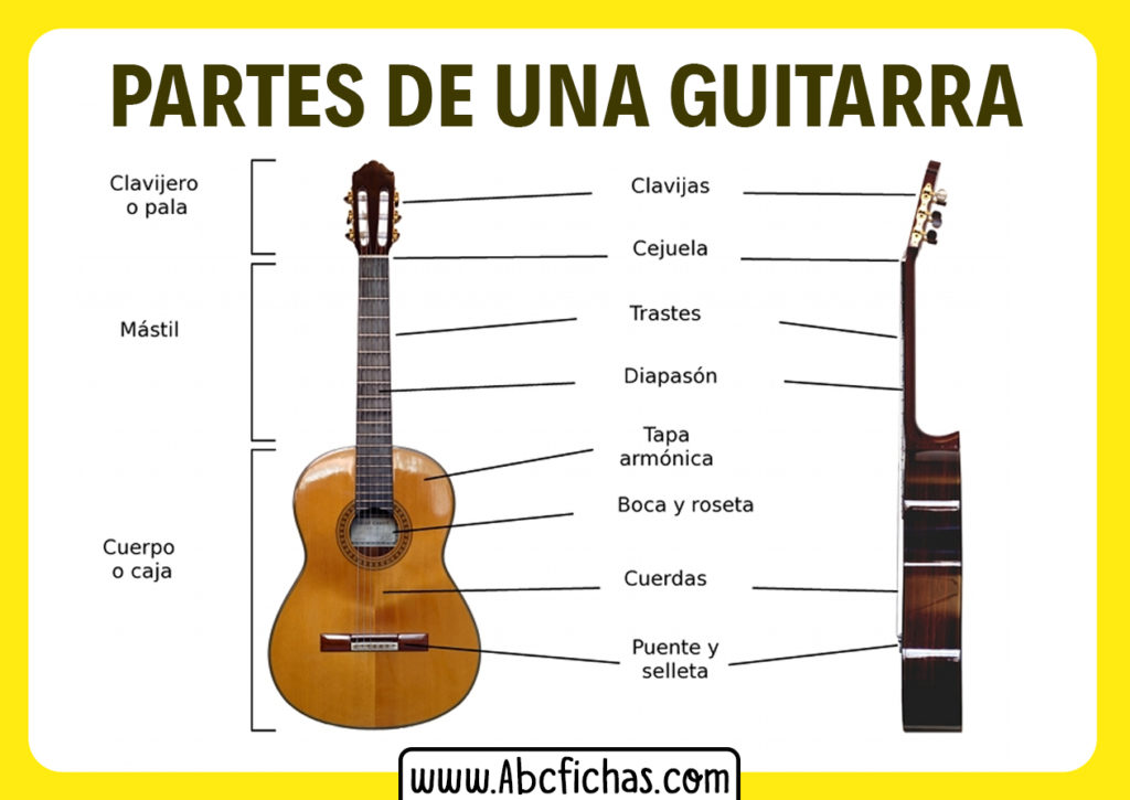 Estructura Y Partes De Una Guitarra Tipos De Guitarras