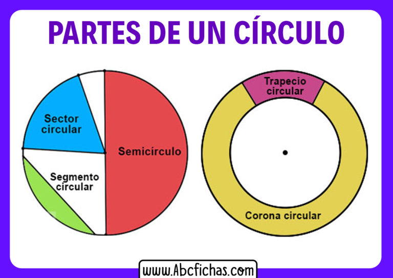 Los Elementos De Una Circunferencia Abc Fichas 7571