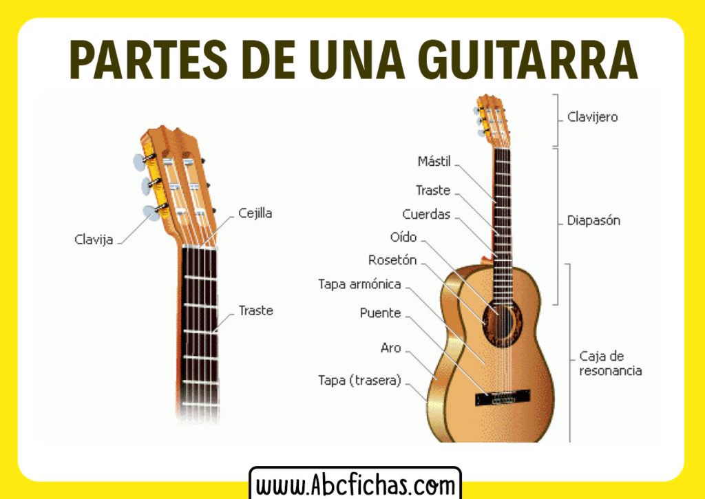 Partes De Una Guitarra Acustica ABC Fichas