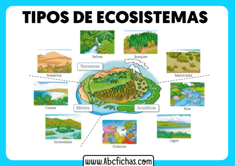 Tipos De Ecosistemas Abc Fichas